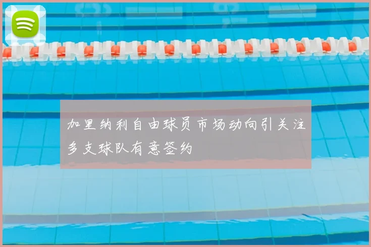 加里纳利自由球员市场动向引关注多支球队有意签约