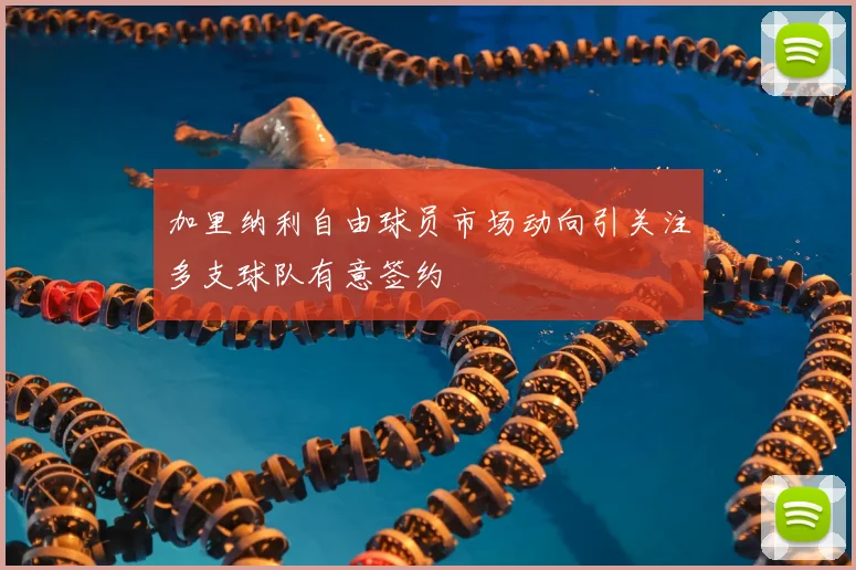 加里纳利自由球员市场动向引关注多支球队有意签约