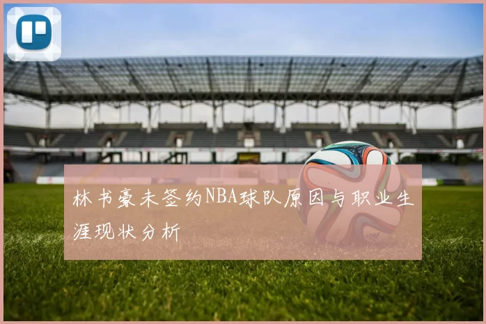 林书豪未签约NBA球队原因与职业生涯现状分析