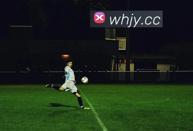 mksports在线登录入口品牌故事